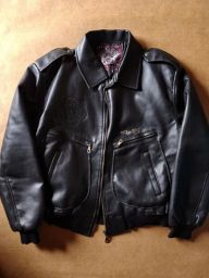 https://img.olx.com.br/thumbs256x256/92/921576734393379.jpg