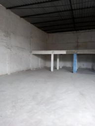 https://img.olx.com.br/thumbs256x256/92/922523287771637.jpg