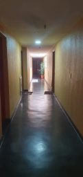 https://img.olx.com.br/thumbs256x256/92/922576631414164.jpg