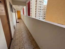 https://img.olx.com.br/thumbs256x256/92/922600785506474.jpg