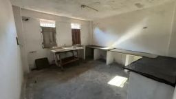 https://img.olx.com.br/thumbs256x256/92/922663919559732.jpg