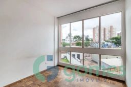 https://img.olx.com.br/thumbs256x256/92/923538520313446.jpg