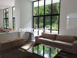 https://img.olx.com.br/thumbs256x256/92/923558529737311.jpg