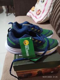 https://img.olx.com.br/thumbs256x256/92/923590726479265.jpg
