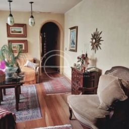 https://img.olx.com.br/thumbs256x256/92/923599163450254.jpg