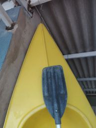 https://img.olx.com.br/thumbs256x256/92/924508269544603.jpg