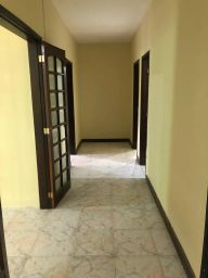 https://img.olx.com.br/thumbs256x256/92/924586408879841.jpg