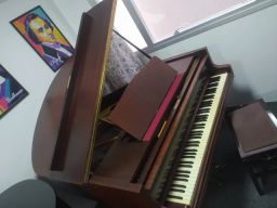 https://img.olx.com.br/thumbs256x256/92/924588365936718.jpg