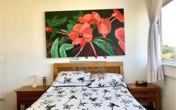 https://img.olx.com.br/thumbs256x256/92/925522761203437.jpg