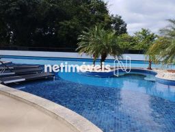 https://img.olx.com.br/thumbs256x256/92/925570766531008.jpg