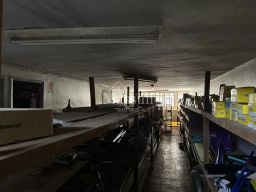 https://img.olx.com.br/thumbs256x256/92/926509164998913.jpg