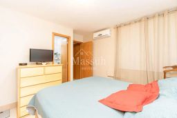 https://img.olx.com.br/thumbs256x256/92/926541755175731.jpg