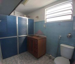 https://img.olx.com.br/thumbs256x256/92/926574041674221.jpg