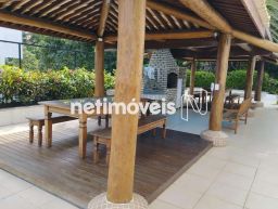 https://img.olx.com.br/thumbs256x256/92/929523167192815.jpg