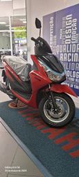 https://img.olx.com.br/thumbs256x256/92/929572622195344.jpg