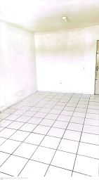 https://img.olx.com.br/thumbs256x256/92/929581769513299.jpg