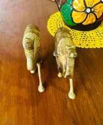 https://img.olx.com.br/thumbs256x256/92/929647443648546.jpg