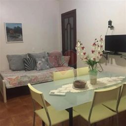 https://img.olx.com.br/thumbs256x256/93/930564400822078.jpg