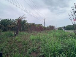 https://img.olx.com.br/thumbs256x256/93/931560765131066.jpg