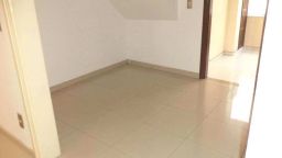 https://img.olx.com.br/thumbs256x256/93/931587267575638.jpg