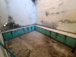 https://img.olx.com.br/thumbs256x256/93/932648307408644.jpg