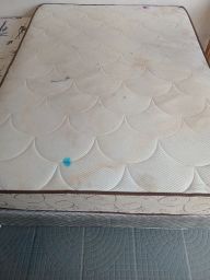 https://img.olx.com.br/thumbs256x256/93/936576649370628.jpg