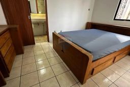 https://img.olx.com.br/thumbs256x256/93/937552872286356.jpg