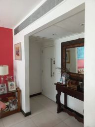 https://img.olx.com.br/thumbs256x256/93/938485469274039.jpg
