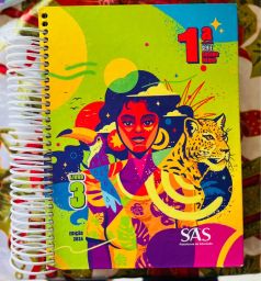 https://img.olx.com.br/thumbs256x256/94/940512498650136.jpg