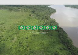https://img.olx.com.br/thumbs256x256/94/941559882001349.jpg