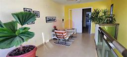 https://img.olx.com.br/thumbs256x256/94/941588523656499.jpg