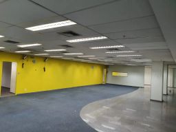 https://img.olx.com.br/thumbs256x256/94/942544031510213.jpg