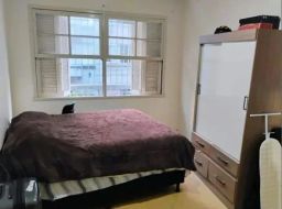 https://img.olx.com.br/thumbs256x256/94/942595402411306.jpg