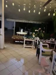 https://img.olx.com.br/thumbs256x256/94/943554407071607.jpg