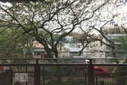https://img.olx.com.br/thumbs256x256/94/943562403473980.jpg