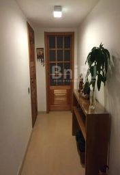 https://img.olx.com.br/thumbs256x256/94/944512409963511.jpg