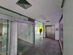 https://img.olx.com.br/thumbs256x256/94/944537752740464.jpg
