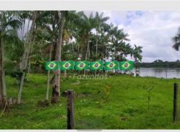 https://img.olx.com.br/thumbs256x256/94/944557641636829.jpg