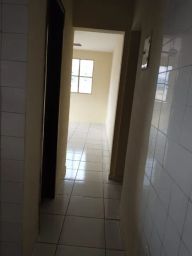 https://img.olx.com.br/thumbs256x256/94/945516384695382.jpg