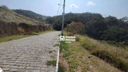 https://img.olx.com.br/thumbs256x256/94/945554769942509.jpg