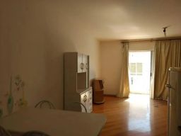 https://img.olx.com.br/thumbs256x256/94/945584408818716.jpg