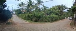 https://img.olx.com.br/thumbs256x256/94/945591165215761.jpg