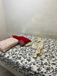 https://img.olx.com.br/thumbs256x256/94/946644682534835.jpg