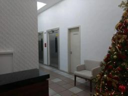 https://img.olx.com.br/thumbs256x256/94/947504645756576.jpg