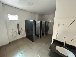 https://img.olx.com.br/thumbs256x256/94/947613670441392.jpg