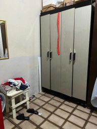 https://img.olx.com.br/thumbs256x256/94/947655322597419.jpg