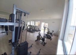 https://img.olx.com.br/thumbs256x256/94/947689791734629.jpg