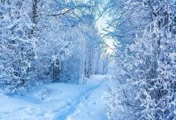 Título do anúncio: Painel Neve, inverno, frozen, caminho nevado