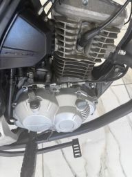 https://img.olx.com.br/thumbs256x256/95/950541144689962.jpg