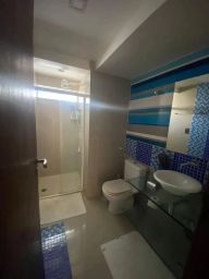 https://img.olx.com.br/thumbs256x256/95/950547765912572.jpg